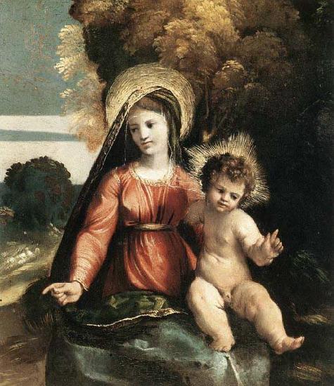 Dosso Dossi Madonna and Child Norge oil painting art